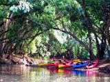 Rainbow Kayaks